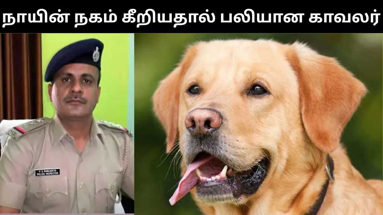 நகத்தால் கீறிய வளர்ப்பு நாய்.. அடுத்த 5 நாட்களில் பலியான காவல் ஆய்வாளர்.. சோக சம்பவம்!