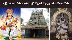 தமிழ்நாட்டில் 2 இடங்களில் தனி கோயில்களில் எழுந்தருளியுள்ள சரஸ்வதி தேவி!