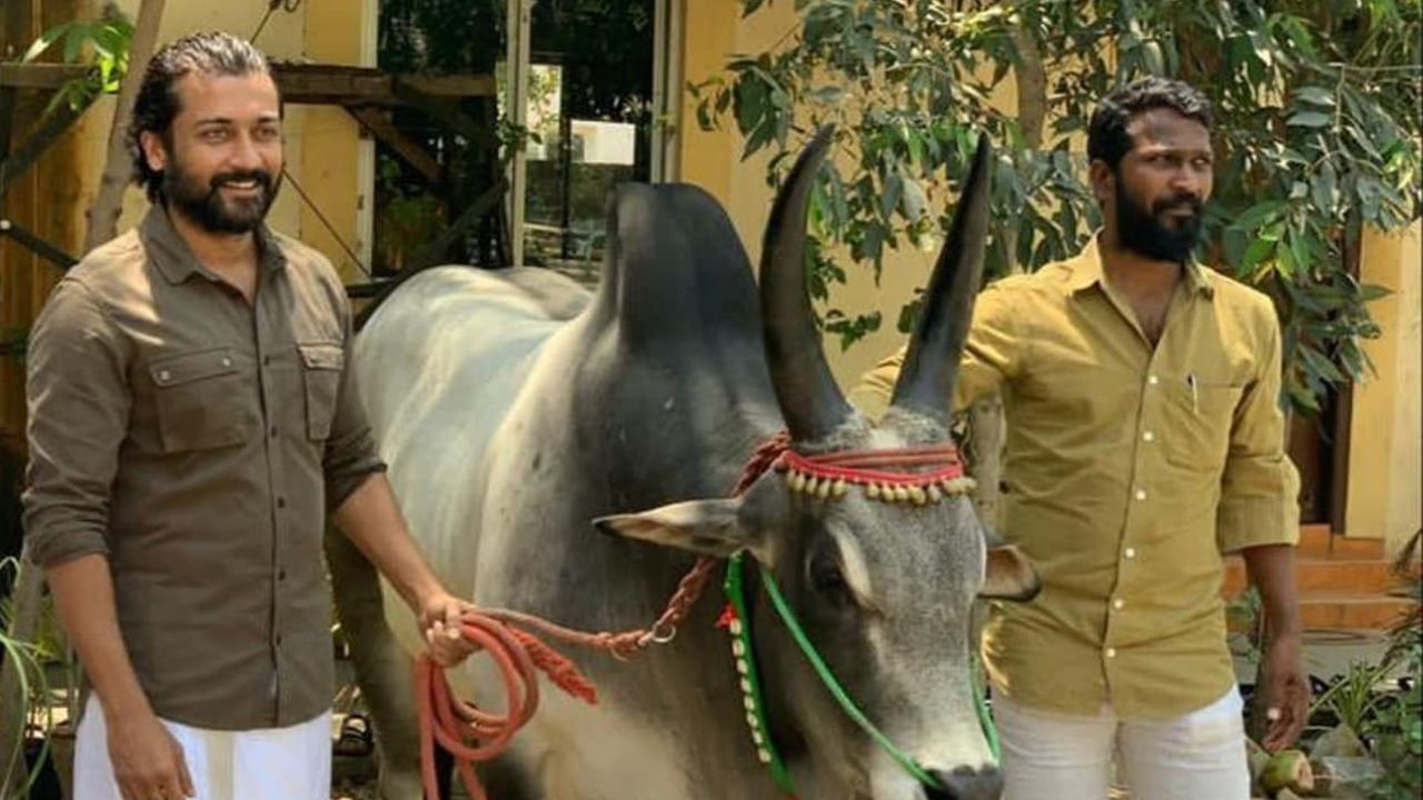 Vetrimaaran : சூர்யாவின் வாடிவாசல் படத்திற்கு வந்த சிக்கல்… வெற்றிமாறன் உடைத்த உண்மை! Vetrimaaran : சூர்யாவின் வாடிவாசல் படத்திற்கு வந்த சிக்கல்… வெற்றிமாறன் உடைத்த உண்மை!