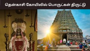 Tenkasi: தென்காசி காசி விஸ்வநாதர் கோயிலில் திருட்டு.. தலைமை அர்ச்சகர் தலைமறைவு!
