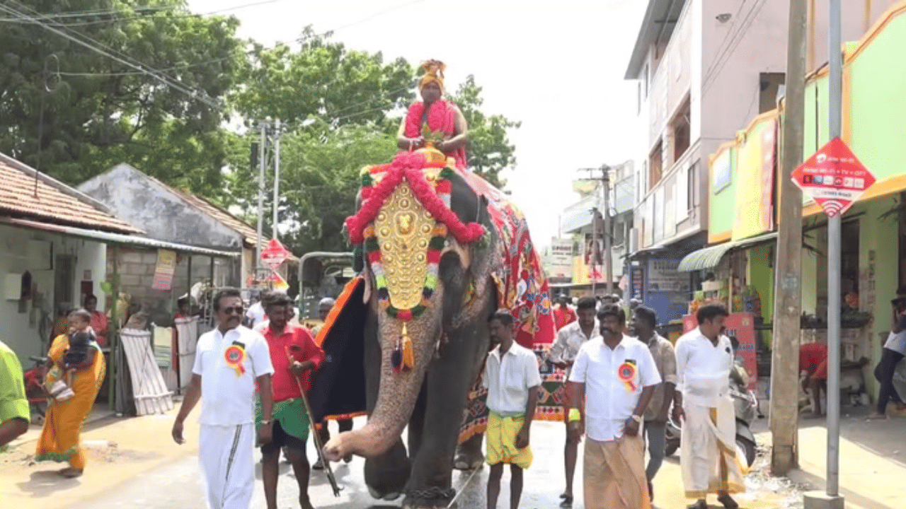 திருச்சியில் பச்சை நாச்சியம்மன் கோவில் கும்பாபிஷேக விழா