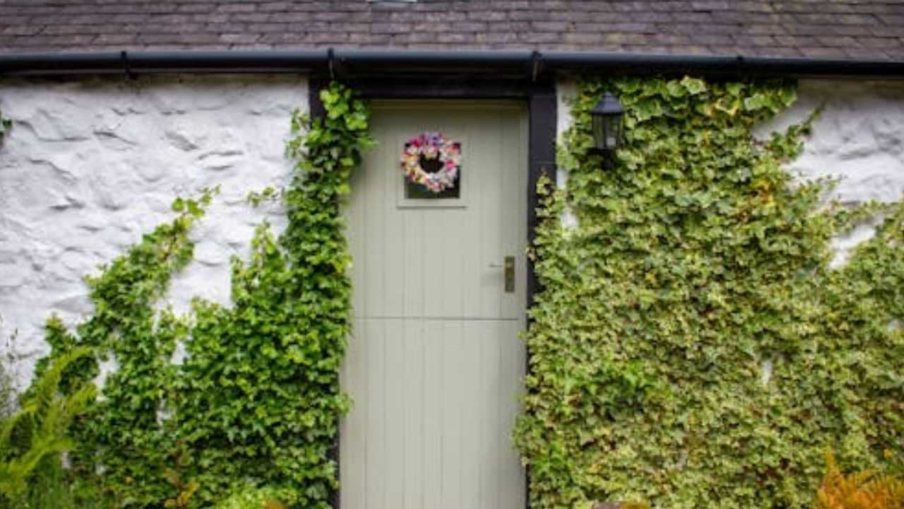 Vastu Tips: எக்காரணம் கொண்டும் வீட்டின் முன் வளர்க்கக்கூடாத 5 செடிகள்! Vastu Tips: எக்காரணம் கொண்டும் வீட்டின் முன் வளர்க்கக்கூடாத 5 செடிகள்!