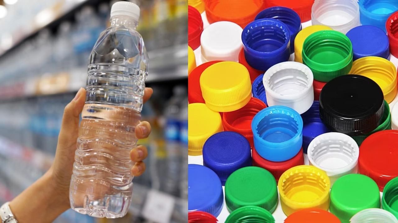 Water Bottle Cap Colors: தண்ணீர் பாட்டில் மூடியின் நிறங்களில் இவ்வளவு ரகசியமா? இவற்றின் அர்த்தம் என்ன? Water Bottle Cap Colors: தண்ணீர் பாட்டில் மூடியின் நிறங்களில் இவ்வளவு ரகசியமா? இவற்றின் அர்த்தம் என்ன?