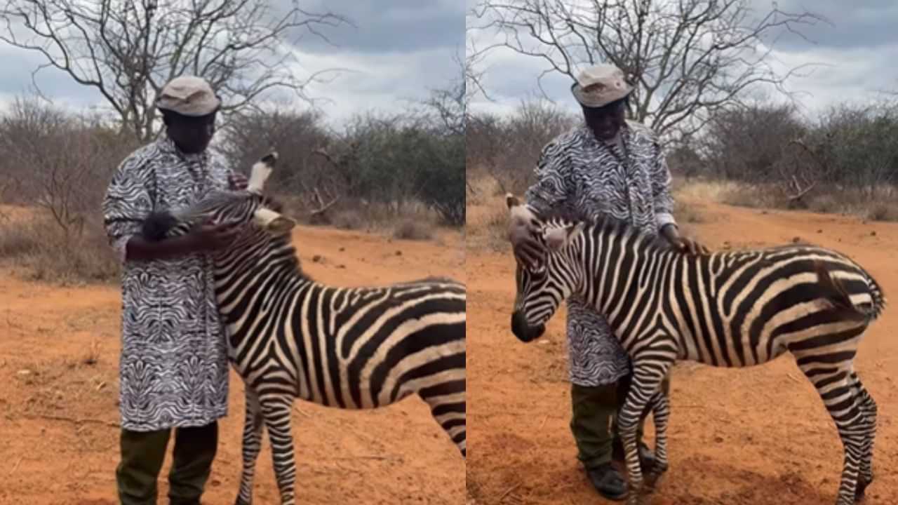 Viral Video : Zookeeper-ஐ தனது தாய் என நினைத்து கொஞ்சிய வரிக்குதிரை.. உணர்ச்சி பொங்கும் வீடியோ!