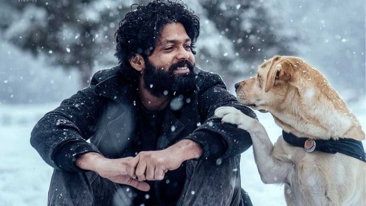 4 மாநில விருதுகளை வென்றது ரக்ஷித் ஷெட்டியின் 777 சார்லி படம் 4 மாநில விருதுகளை வென்றது ரக்ஷித் ஷெட்டியின் 777 சார்லி படம்