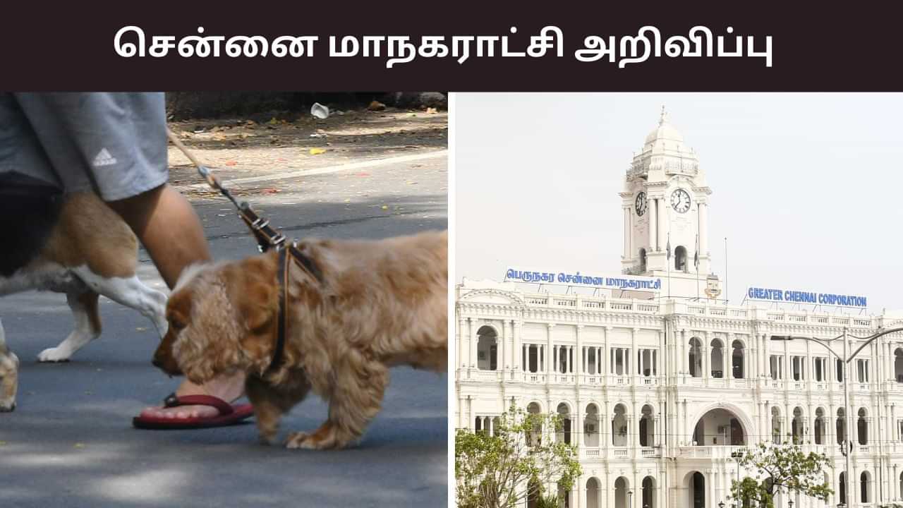 ஒரு மாதம் டைம்.. செல்லப்பிராணி வளர்ப்பவர்களுக்கு காலக்கெடு.. சென்னை மாநகராட்சி அறிவிப்பு