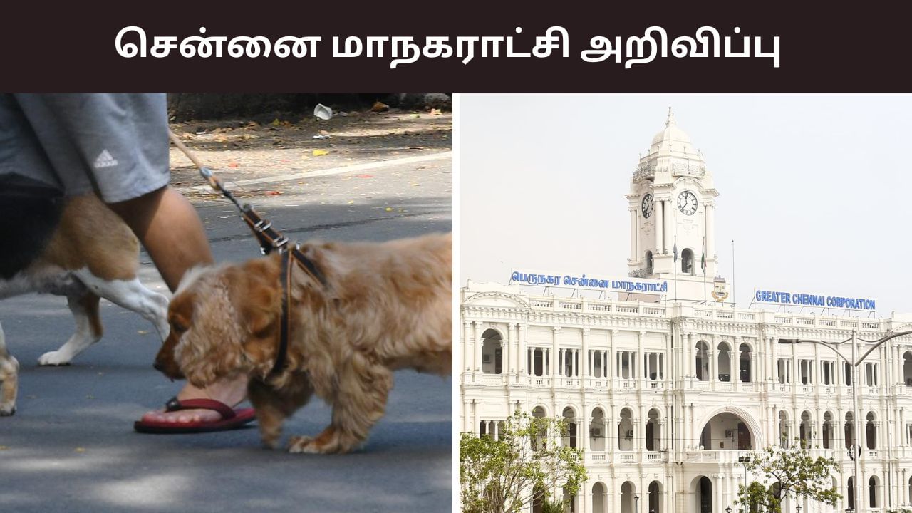 ஒரு மாதம் டைம்.. செல்லப்பிராணி வளர்ப்பவர்களுக்கு காலக்கெடு.. சென்னை மாநகராட்சி அறிவிப்பு