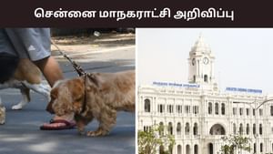 ஒரு மாதம் டைம்.. செல்லப்பிராணி வளர்ப்பவர்களுக்கு காலக்கெடு.. சென்னை மாநகராட்சி அறிவிப்பு