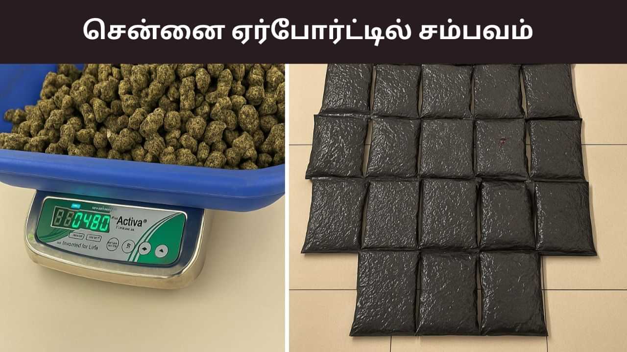 ரூ.9.5 கோடியில் உயர் ரக கஞ்சா.. அசந்துபோன அதிகாரிகள்.. சென்னை ஏர்போர்ட்டில் பரபர! ரூ.9.5 கோடியில் உயர் ரக கஞ்சா.. அசந்துபோன அதிகாரிகள்.. சென்னை ஏர்போர்ட்டில் பரபர!
