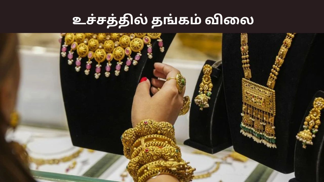 ஜெட் வேகத்தில் உயரும் தங்கம் விலை.. சவரனுக்கு இவ்வளவா? நகை பிரியர்கள் ஷாக் ஜெட் வேகத்தில் உயரும் தங்கம் விலை.. சவரனுக்கு இவ்வளவா? நகை பிரியர்கள் ஷாக்