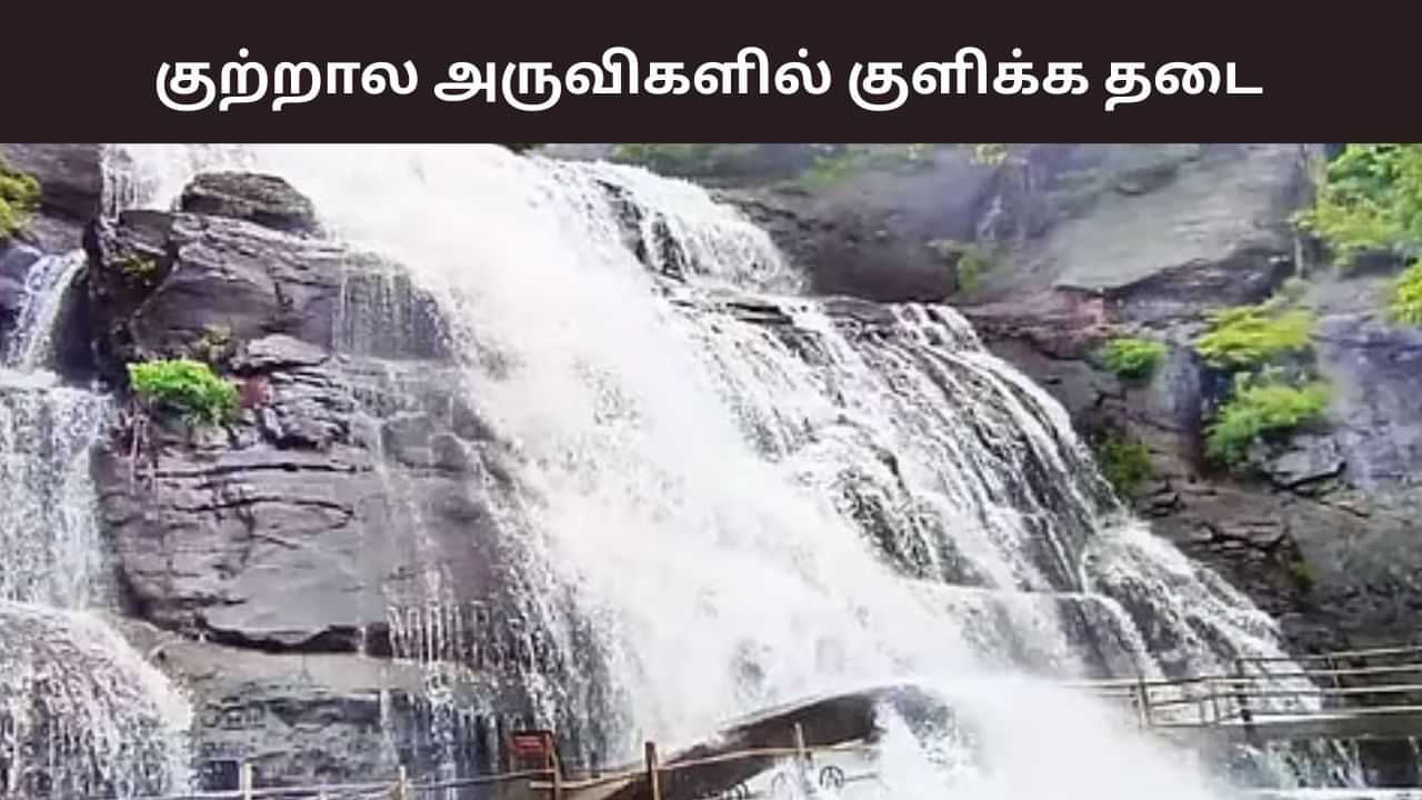 லீவுக்கு குற்றாலம் போக போறீங்களா? அப்போ இதை நோட் பண்ணுங்க.. மாவட்ட நிர்வாகம் அறிவிப்பு.. லீவுக்கு குற்றாலம் போக போறீங்களா? அப்போ இதை நோட் பண்ணுங்க.. மாவட்ட நிர்வாகம் அறிவிப்பு..