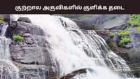 குற்றாலம்: அருவியில் குளிக்க வந்தவர்களுக்கு ஷாக்... தொடரும் தடை!...