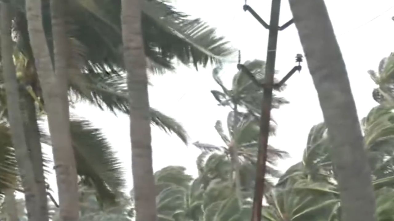 பேயாட்டம் ஆடிய மரங்கள்.. ஆந்திராவில் கரையேறிய மோன்தா புயல்! பேயாட்டம் ஆடிய மரங்கள்.. ஆந்திராவில் கரையேறிய மோன்தா புயல்!