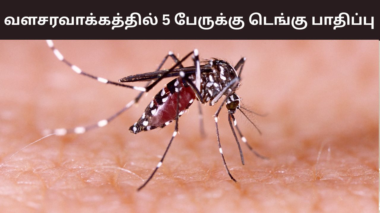சென்னை வளசரவாக்கத்தில் 5 பேருக்கு டெங்கு பாதிப்பு.. நடவடிக்கை எடுக்க மக்கள் கோரிக்கை..