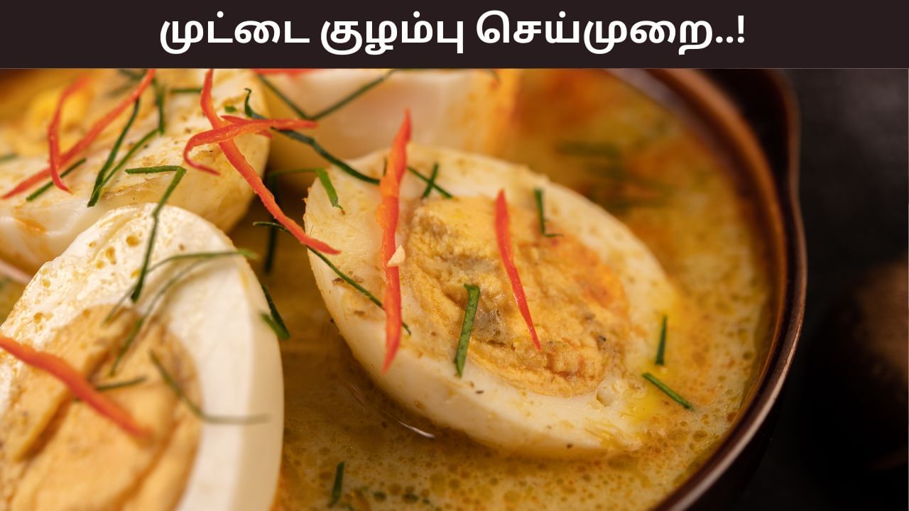 Food Recipe: வித்தியாசமான முறையில் சூப்பரான முட்டை குருமா.. 10 நிமிடத்தில் செய்வது எப்படி..? Food Recipe: வித்தியாசமான முறையில் சூப்பரான முட்டை குருமா.. 10 நிமிடத்தில் செய்வது எப்படி..?