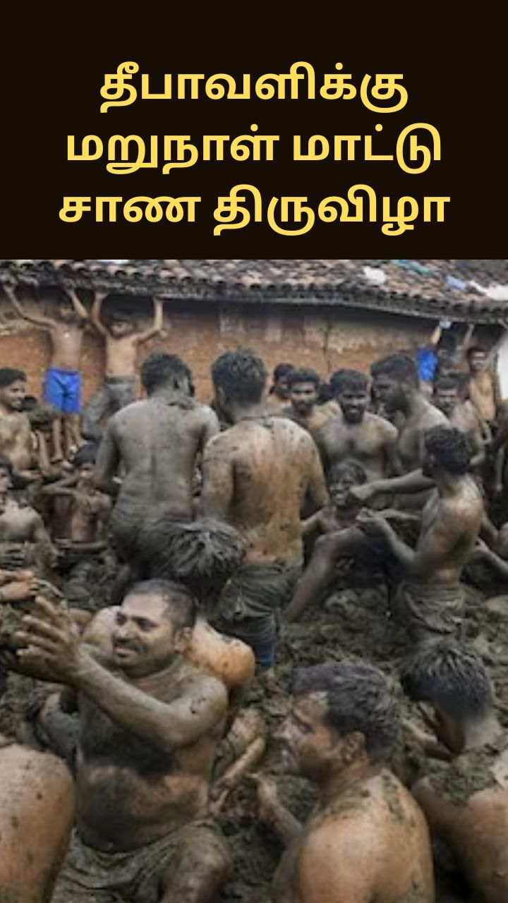 தீபாவளிக்கு மறுநாள் மாட்டு சாண திருவிழா.. தீபாவளிக்கு மறுநாள் மாட்டு சாண திருவிழா..
