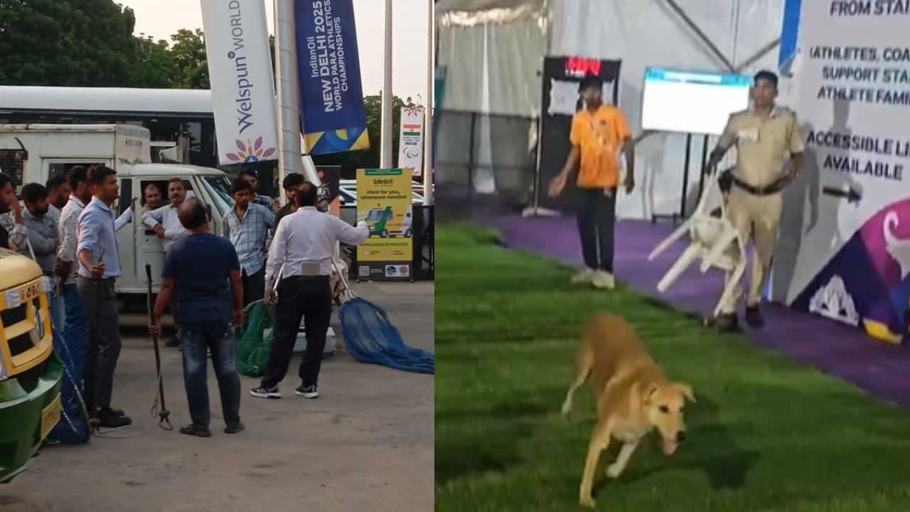 Dog Bite: உலகளாவிய போட்டியில் இந்தியாவிற்கு சிக்கல்.. நேரு ஸ்டேடியத்தில் வெளிநாட்டு பயிற்சியாளர்களை கடித்த நாய்!