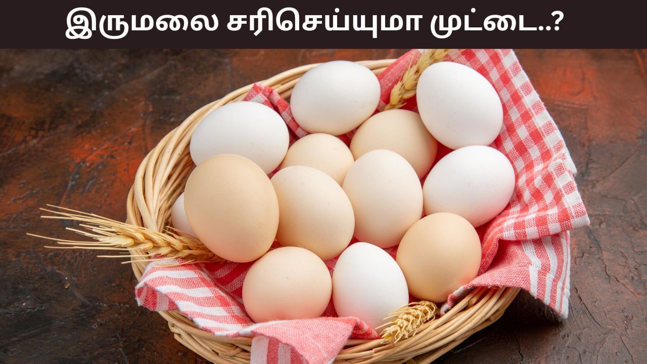 Health Tips: முட்டை சாப்பிடுவதால் இருமல் குணமாகுமா..? சரிசெய்யும் எளிய முறைகள்! Health Tips: முட்டை சாப்பிடுவதால் இருமல் குணமாகுமா..? சரிசெய்யும் எளிய முறைகள்!