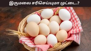 Health Tips: முட்டை சாப்பிடுவதால் இருமல் குணமாகுமா..? சரிசெய்யும் எளிய முறைகள்!