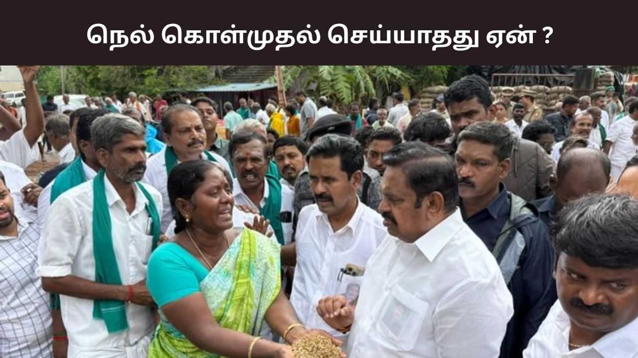 நெற்பயிர்களை கொள்முதல் செய்யவில்லை என்றால், எதற்கு இந்த அரசு? எடப்பாடி பழனிசாமி கேள்வி.. நெற்பயிர்களை கொள்முதல் செய்யவில்லை என்றால், எதற்கு இந்த அரசு? எடப்பாடி பழனிசாமி கேள்வி..