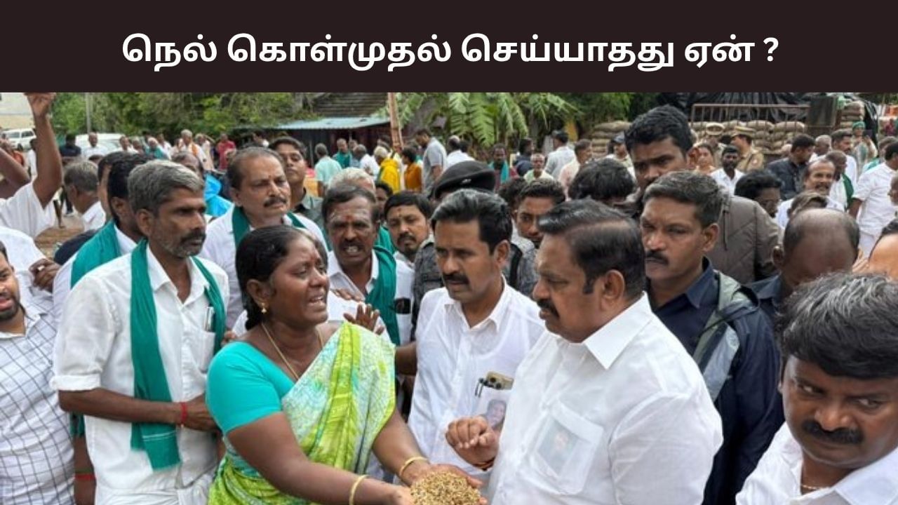 நெற்பயிர்களை கொள்முதல் செய்யவில்லை என்றால், எதற்கு இந்த அரசு? எடப்பாடி பழனிசாமி கேள்வி.. நெற்பயிர்களை கொள்முதல் செய்யவில்லை என்றால், எதற்கு இந்த அரசு? எடப்பாடி பழனிசாமி கேள்வி..