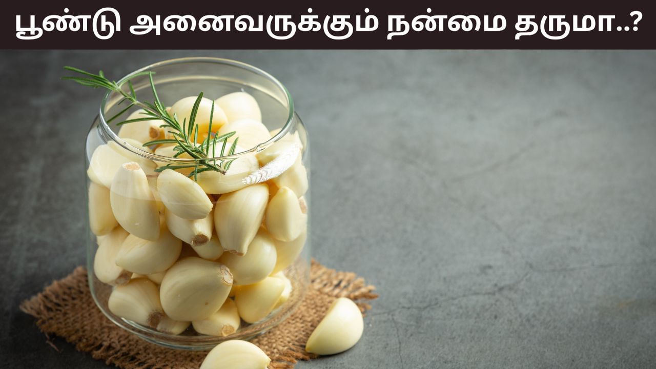 Health Tips: பூண்டு அனைவருக்கும் நன்மை தருமா..? இந்த பிரச்சனை இருந்தால் தவிர்ப்பது நல்லது!