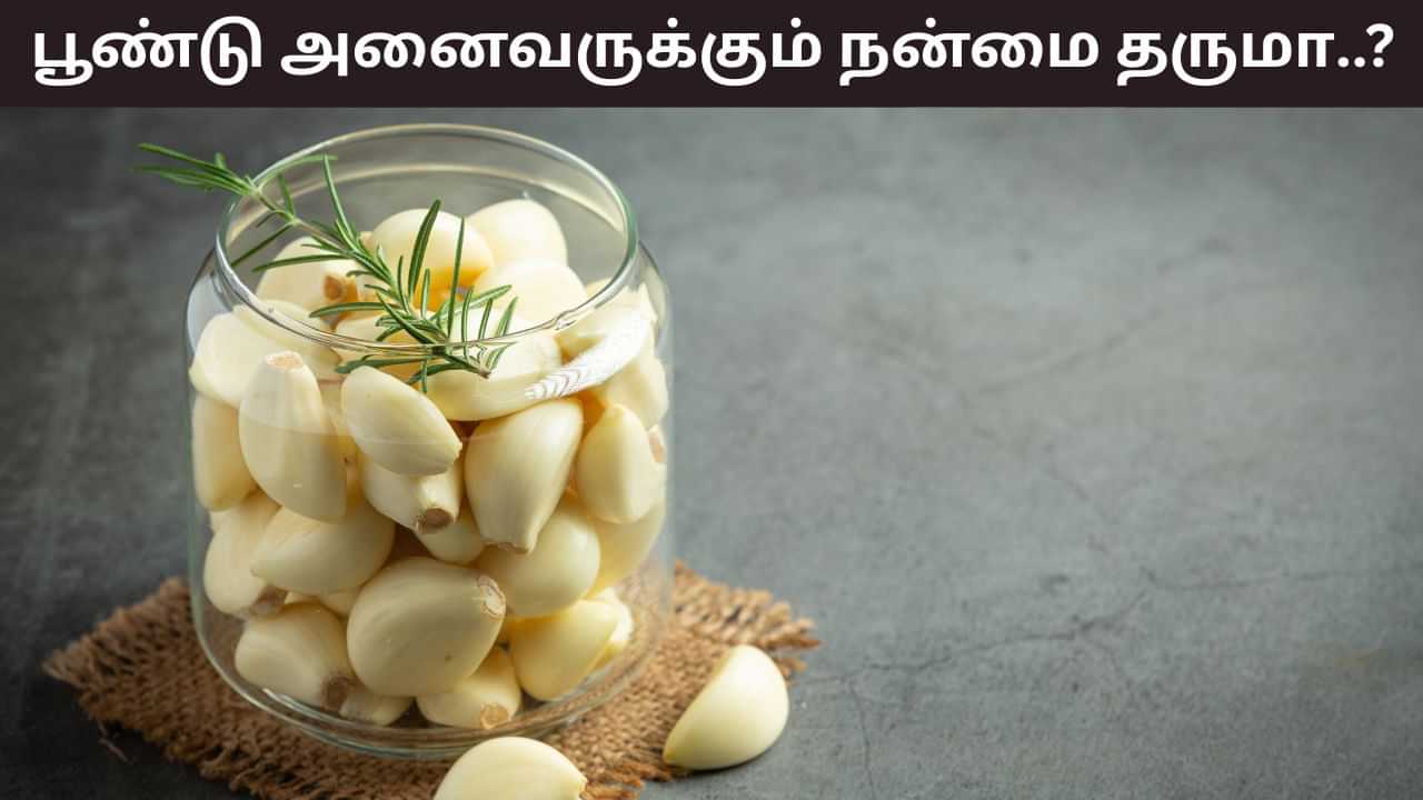 Health Tips: பூண்டு அனைவருக்கும் நன்மை தருமா..? இந்த பிரச்சனை இருந்தால் தவிர்ப்பது நல்லது!