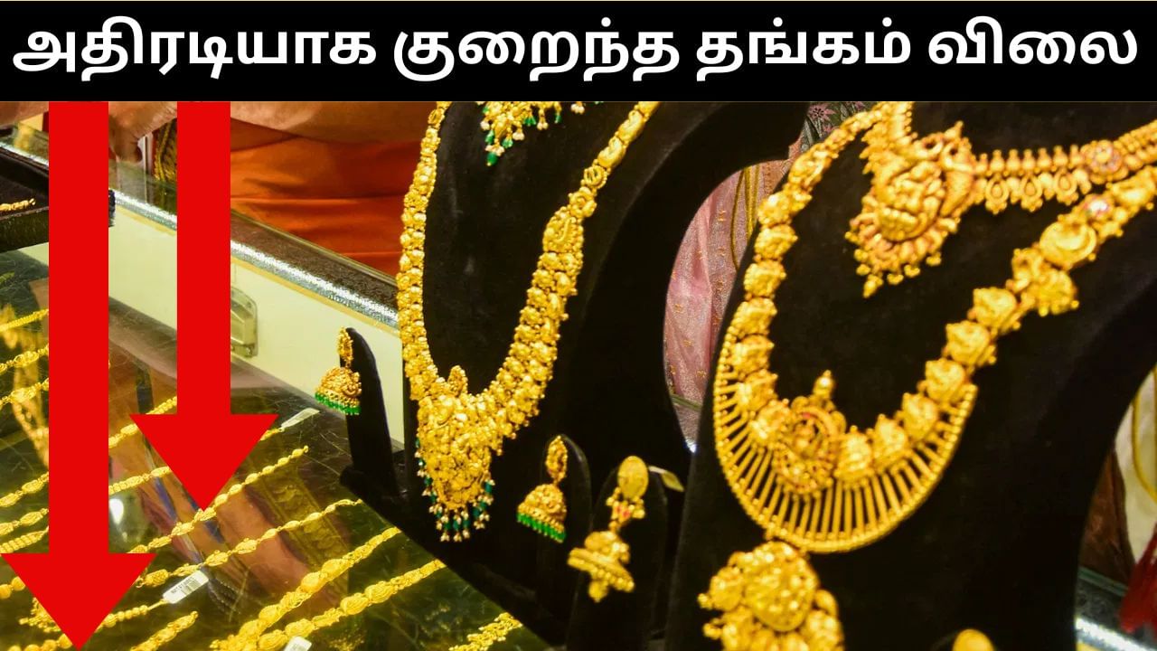 Gold Price : ஒரே நாளில் ரூ.1,320 குறைந்த தங்கம்.. மேலும் விலை குறையும்?.. பொருளாதார வல்லுநர்கள் கூறுவது என்ன? Gold Price : ஒரே நாளில் ரூ.1,320 குறைந்த தங்கம்.. மேலும் விலை குறையும்?.. பொருளாதார வல்லுநர்கள் கூறுவது என்ன?