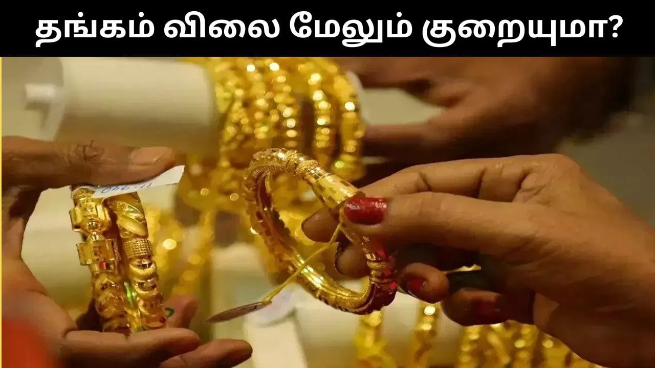 கடும் சரிவை சந்தித்த தங்கம்.. மேலும் விலை குறையுமா?.. பொருளாதார வல்லுநர்கள் கூறுவது என்ன? கடும் சரிவை சந்தித்த தங்கம்.. மேலும் விலை குறையுமா?.. பொருளாதார வல்லுநர்கள் கூறுவது என்ன?