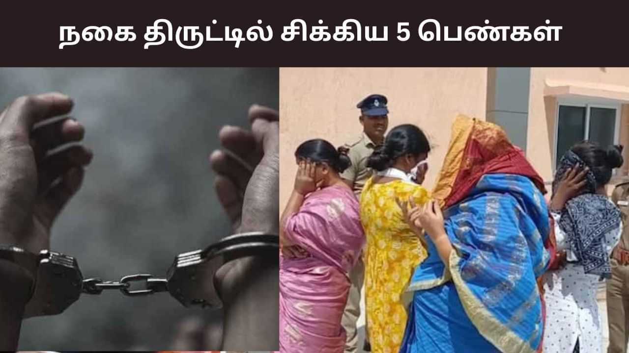 மூதாட்டியிடம் நகை திருட்டு.. தேடிய போலீசாருக்கு காத்திருந்த அதிர்ச்சி! மூதாட்டியிடம் நகை திருட்டு.. தேடிய போலீசாருக்கு காத்திருந்த அதிர்ச்சி!