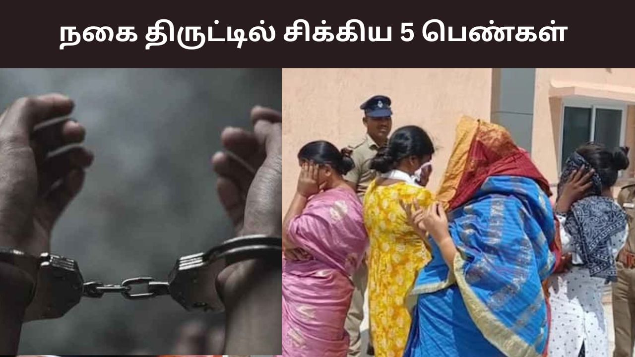 மூதாட்டியிடம் நகை திருட்டு.. தேடிய போலீசாருக்கு காத்திருந்த அதிர்ச்சி!