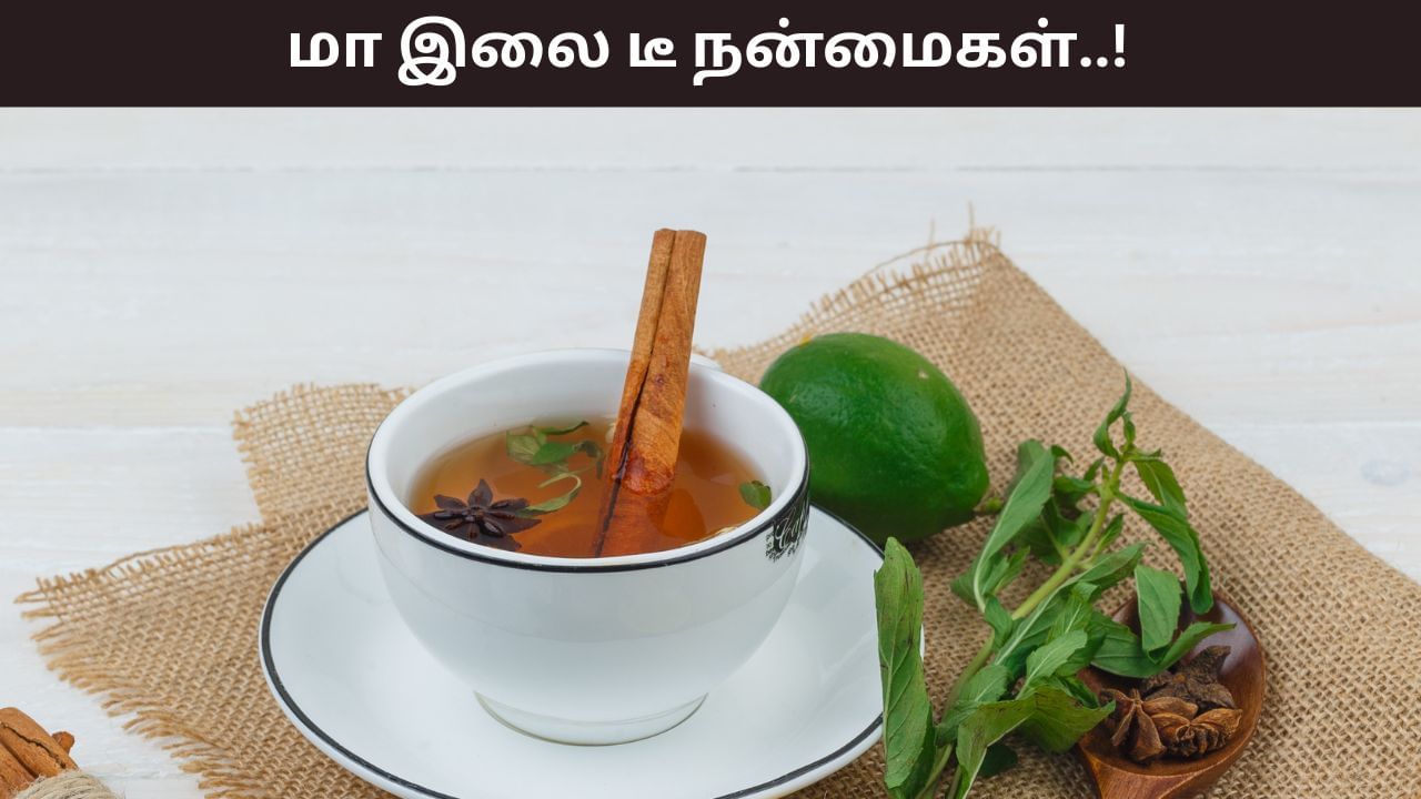 Health Tips: மா இலை இதயத்திற்கு இவ்வளவு நல்லதா..? ஆரோக்கியத்தை அள்ளி தரும் அதிசயம்!