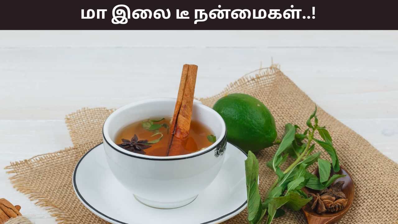 Health Tips: மா இலை இதயத்திற்கு இவ்வளவு நல்லதா..? ஆரோக்கியத்தை அள்ளி தரும் அதிசயம்! Health Tips: மா இலை இதயத்திற்கு இவ்வளவு நல்லதா..? ஆரோக்கியத்தை அள்ளி தரும் அதிசயம்!