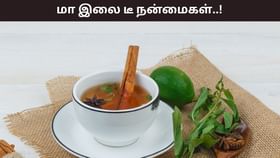 Health Tips: மா இலை இதயத்திற்கு இவ்வளவு நல்லதா..? ஆரோக்கியத்தை அள்ளி தரும் அதிசயம்! Health Tips: மா இலை இதயத்திற்கு இவ்வளவு நல்லதா..? ஆரோக்கியத்தை அள்ளி தரும் அதிசயம்!...