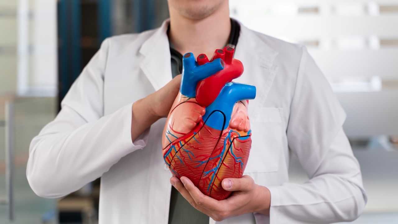 Health Tips: மாரடைப்பு வரும் என பயமா..? இந்த 4 பழங்கள் போதும்.. உங்கள் இதயத்தை பாதுகாக்கும்..! Health Tips: மாரடைப்பு வரும் என பயமா..? இந்த 4 பழங்கள் போதும்.. உங்கள் இதயத்தை பாதுகாக்கும்..!