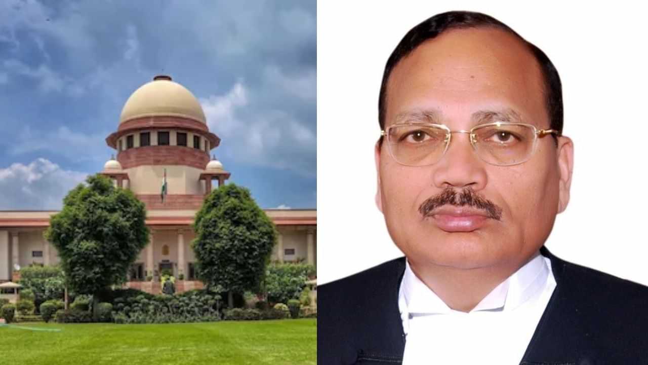 இந்தியாவின் அடுத்த தலைமை நீதிபதியாக சூர்யகாந்த் நியமனம் - யார் இவர்? இந்தியாவின் அடுத்த தலைமை நீதிபதியாக சூர்யகாந்த் நியமனம் - யார் இவர்?