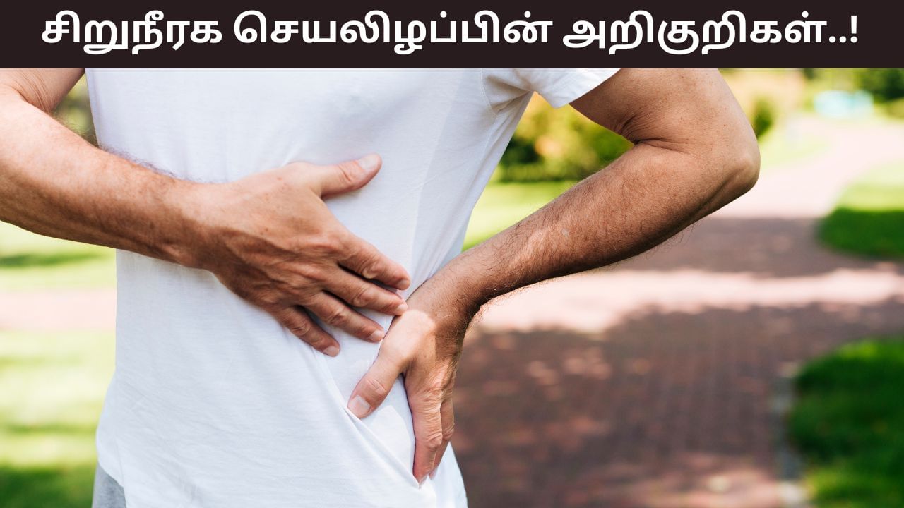 Health Tips: உங்கள் முகத்தில் மாறி மாறி இந்த அறிகுறிகளா..? சிறுநீரக பாதிப்பு ஏற்படப் போகிறது! Health Tips: உங்கள் முகத்தில் மாறி மாறி இந்த அறிகுறிகளா..? சிறுநீரக பாதிப்பு ஏற்படப் போகிறது!