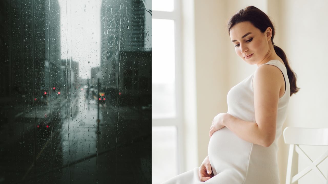 Health Tips: மழைக்காலத்தில் கர்ப்பிணி பெண்களே உஷார்.. இந்த நோய்கள் தாக்கும் அபாயம் அதிகம்!