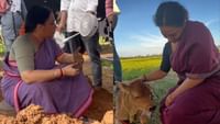 இட்லி கடை படத்தின் ஷூட்டிங் அனுபவத்தை பகிர்ந்த நித்யா மேனன்! இட்லி கடை படத்தின் ஷூட்டிங் அனுபவத்தை பகிர்ந்த நித்யா மேனன்!...