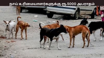 வளர்ப்பு நாய், பூனைகளுக்கு உரிமம் பெறாவிட்டால் ரூ.5000 அபராதம்