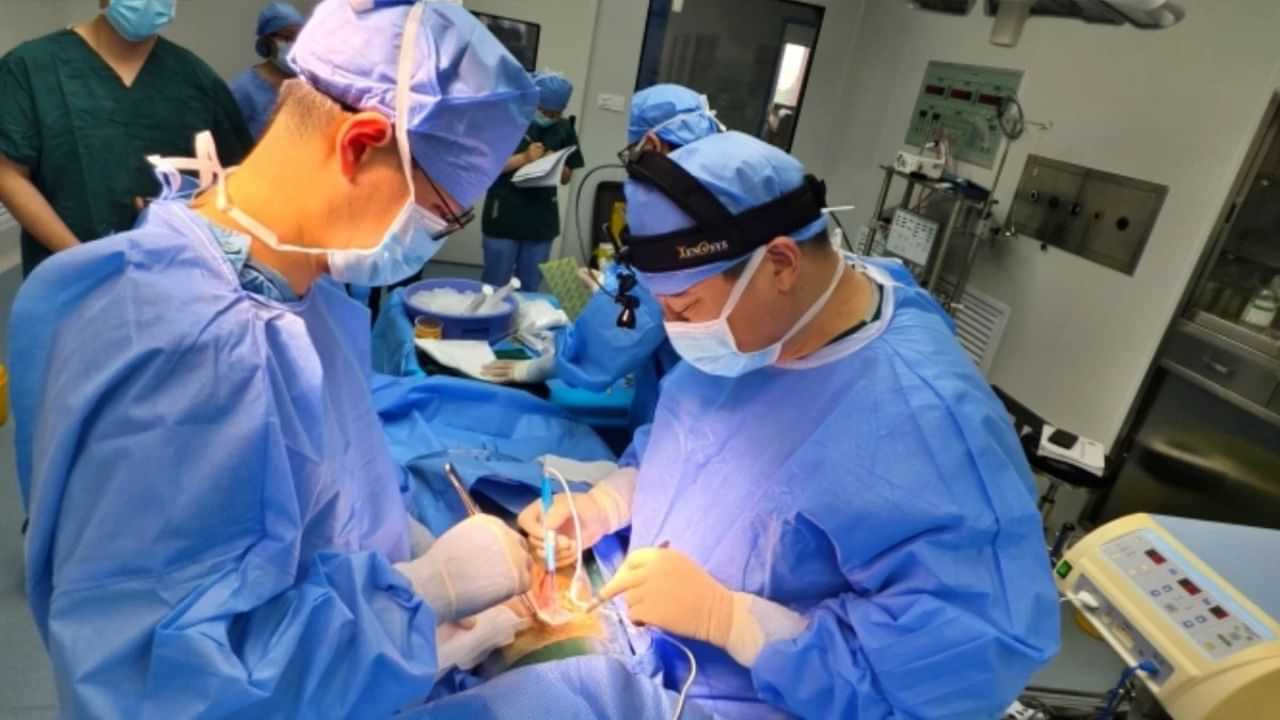 மனிதனுக்கு பன்றியின் கல்லீரல்: மருத்துவ உலகில் புதிய சாதனை!