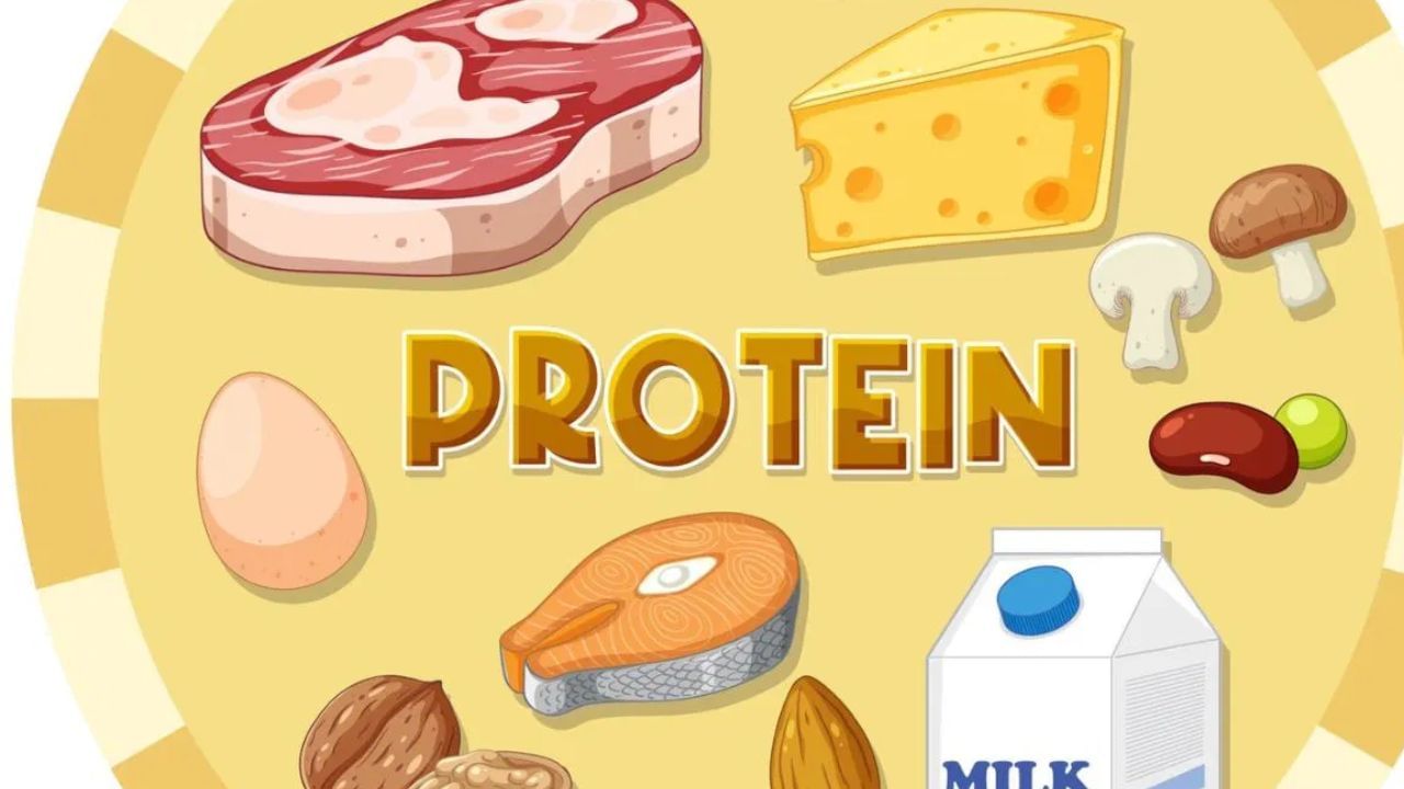 Protein Deficiency: உடலில் புரதக் குறைபாடு ஏன் ஏற்படுகிறது? அறிகுறிகள் என்ன? Protein Deficiency: உடலில் புரதக் குறைபாடு ஏன் ஏற்படுகிறது? அறிகுறிகள் என்ன?