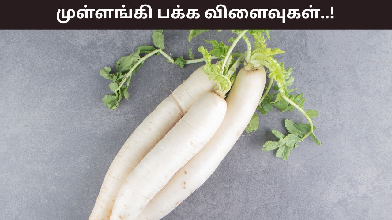 Health Tips: ஊட்டச்சத்துக்கள் நிறைந்த முள்ளங்கி.. ஆனால்! யார் யார் தவிர்க்க வேண்டும்..?
