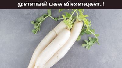 ஊட்டச்சத்துக்கள் நிறைந்த முள்ளங்கி.. யார் தவிர்க்க வேண்டும்? ஊட்டச்சத்துக்கள் நிறைந்த முள்ளங்கி.. யார் தவிர்க்க வேண்டும்?