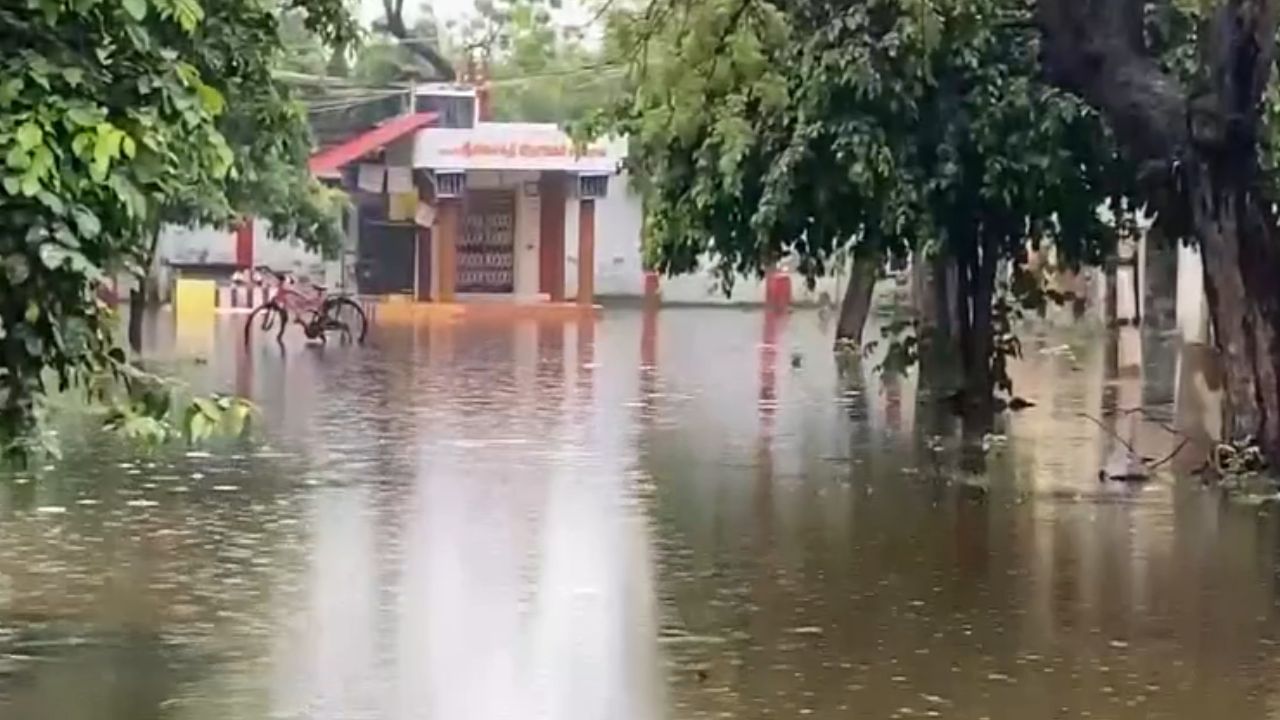 Rain Update : தூத்துக்குடியில் வெளுக்கும் கனமழை.. சாலைகளில் தண்ணீர்!