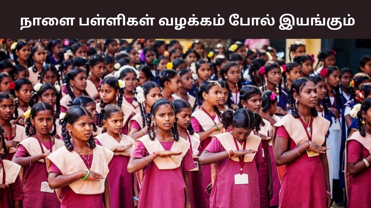 மாணவர்களே..! நோ ஹாலிடே.. நாளை அனைத்து பள்ளிகளும் வழக்கம்போல் செயல்படும்.. மாணவர்களே..! நோ ஹாலிடே.. நாளை அனைத்து பள்ளிகளும் வழக்கம்போல் செயல்படும்..