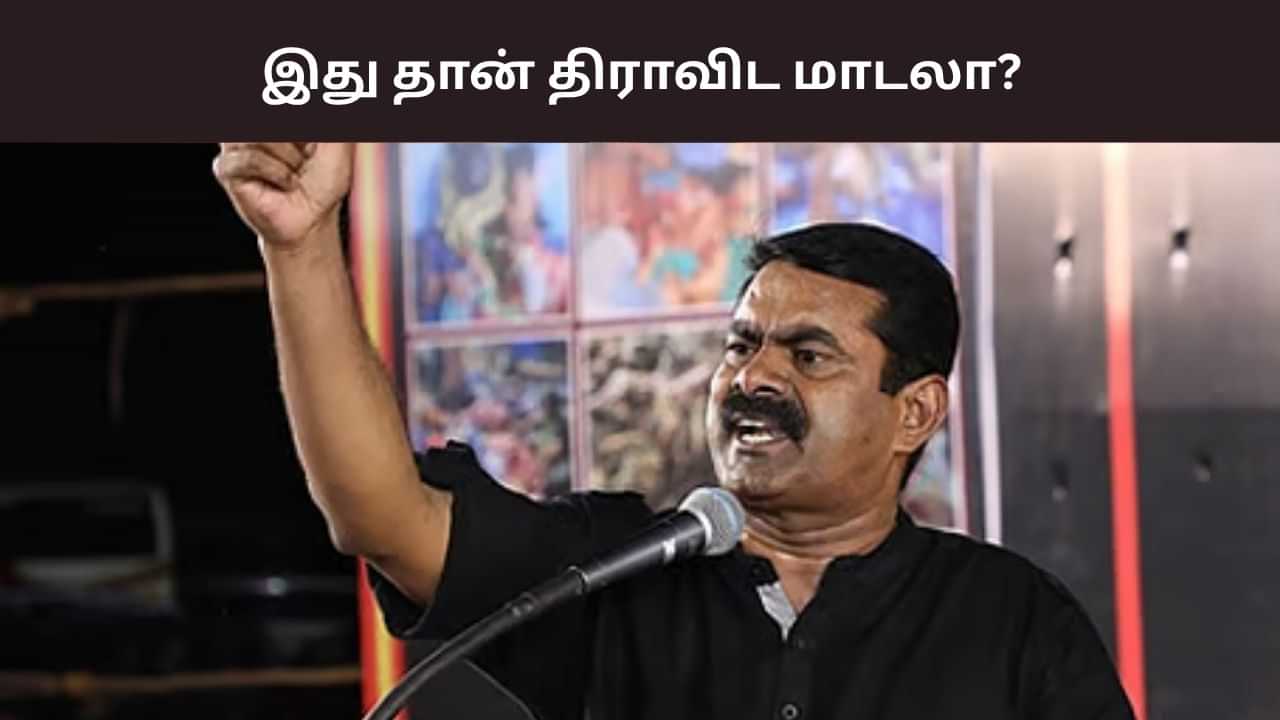 சரியான நேரத்திற்கு நெற்பயிர்களை ஏன் கொள்முதல் செய்யவில்லை? இது தான் திராவிட மாடலா? - சீமான் கேள்வி சரியான நேரத்திற்கு நெற்பயிர்களை ஏன் கொள்முதல் செய்யவில்லை? இது தான் திராவிட மாடலா? - சீமான் கேள்வி