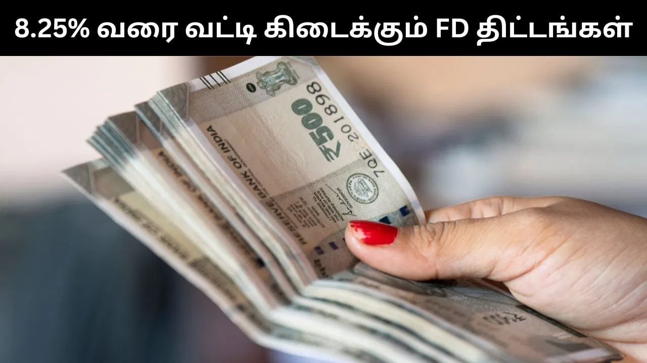 மூத்த குடிமக்களுக்கான நிலையான வைப்பு நிதி திட்டம்.. 8.25% வரை வட்டி வழங்கும் வங்கிகள்! மூத்த குடிமக்களுக்கான நிலையான வைப்பு நிதி திட்டம்.. 8.25% வரை வட்டி வழங்கும் வங்கிகள்!