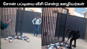 Viral Video : தீபாவளிக்கு சோன் பப்டி கொடுத்த நிறுவனம்.. ஆத்திரத்தில் வீசி சென்ற ஊழியர்கள்! Viral Video : தீபாவளிக்கு சோன் பப்டி கொடுத்த நிறுவனம்.. ஆத்திரத்தில் வீசி சென்ற ஊழியர்கள்!