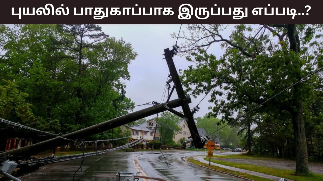 Storm Safety Tips: புயல் அடிக்கும்போது வாகனத்தில் சிக்கி கொண்டீர்களா..? பாதுகாப்பாக இருக்க என்ன செய்யலாம்? Storm Safety Tips: புயல் அடிக்கும்போது வாகனத்தில் சிக்கி கொண்டீர்களா..? பாதுகாப்பாக இருக்க என்ன செய்யலாம்?